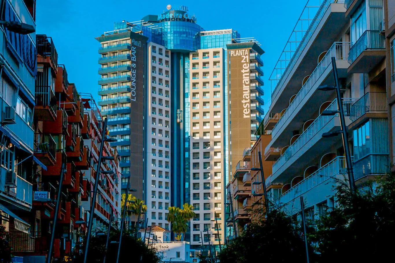 Madeira Centro - zdjęcie 4