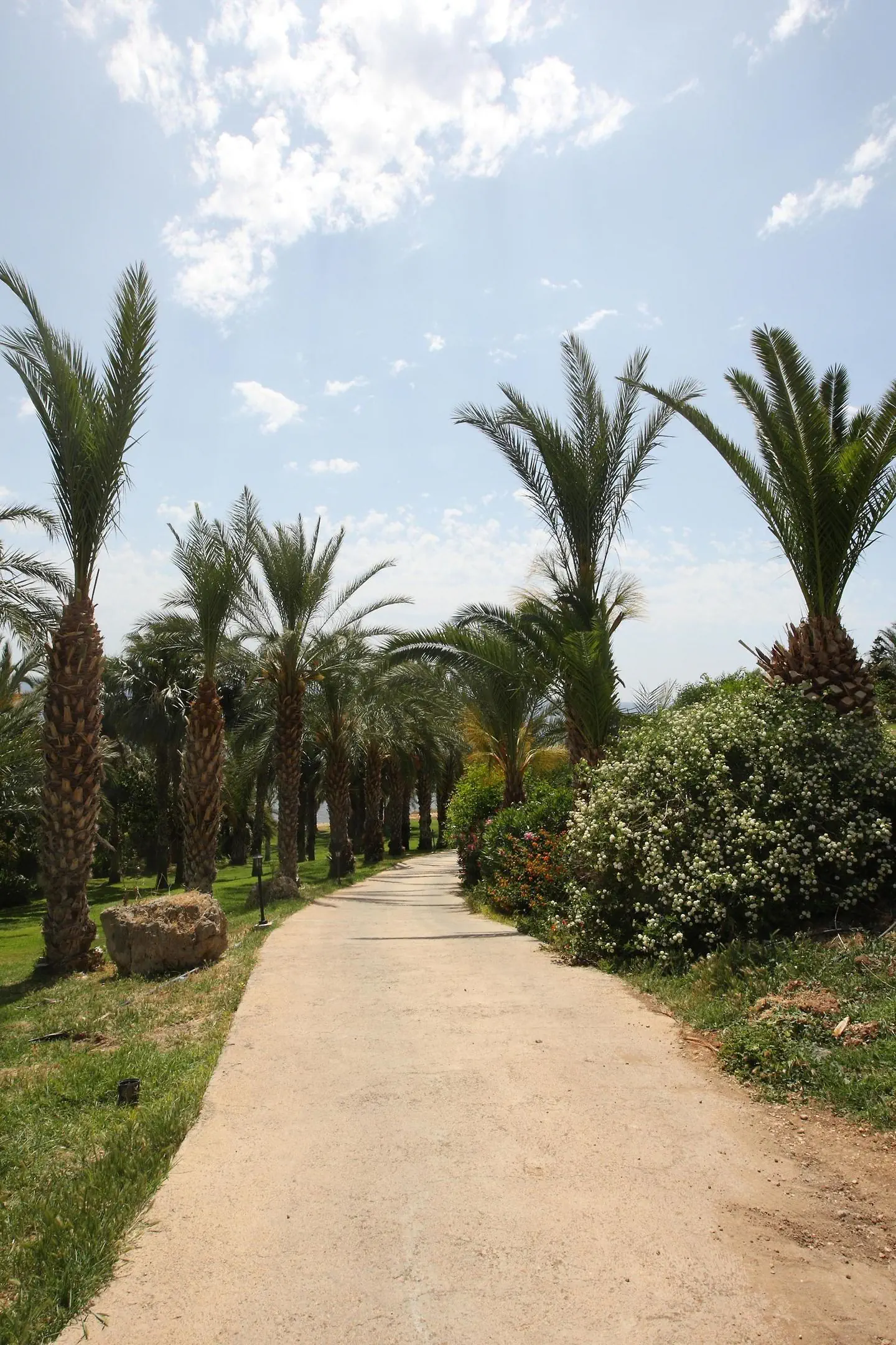 Ascos Coral Beach Hotel