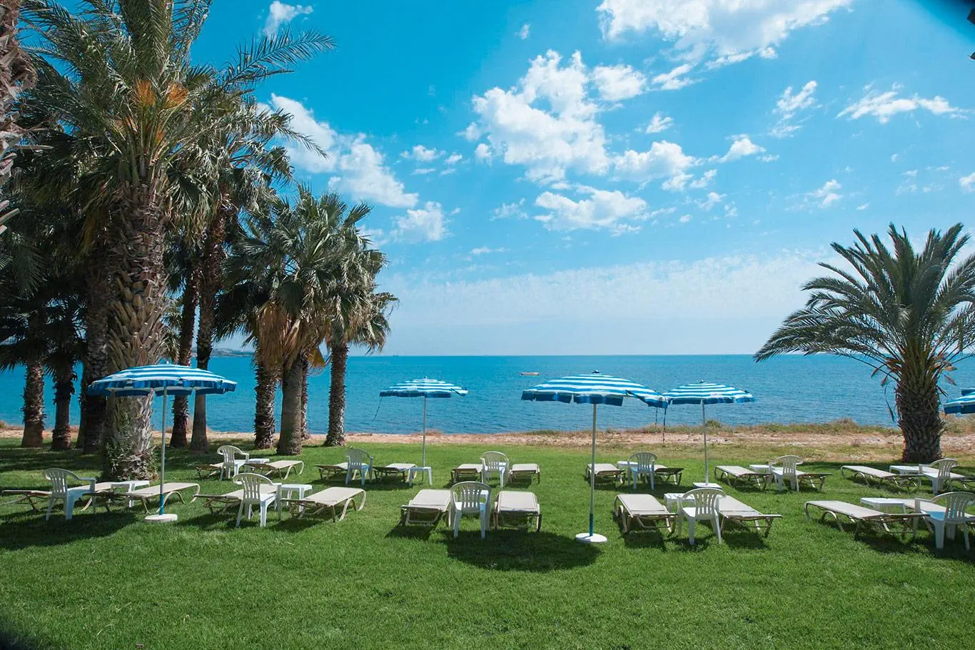 Ascos Coral Beach Hotel photo 3