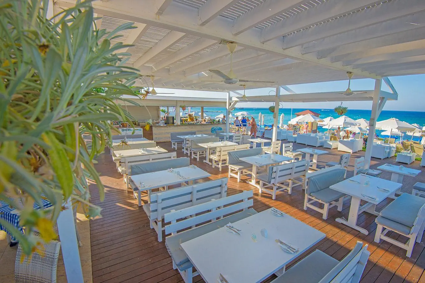 Silver Sands Beach - zdjęcie 11