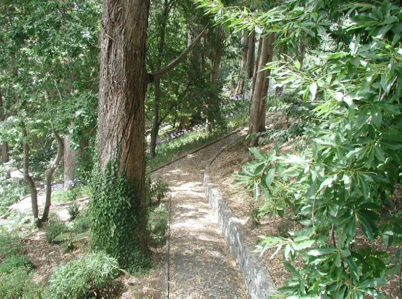 Quinta da Serra - zdjęcie 39