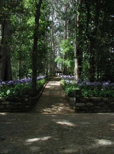 Quinta da Serra - zdjęcie 38