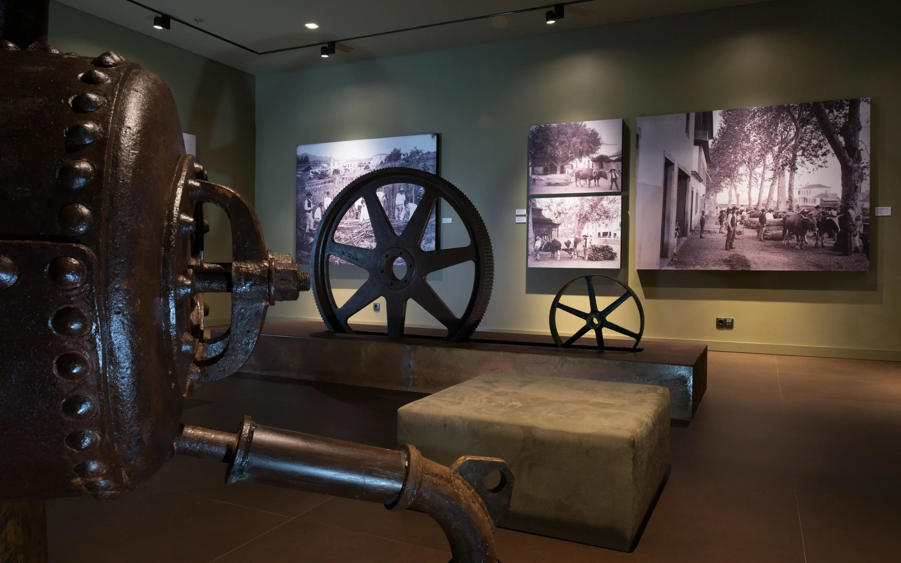 Saccharum Resort by Savoy Signature - zdjęcie 45