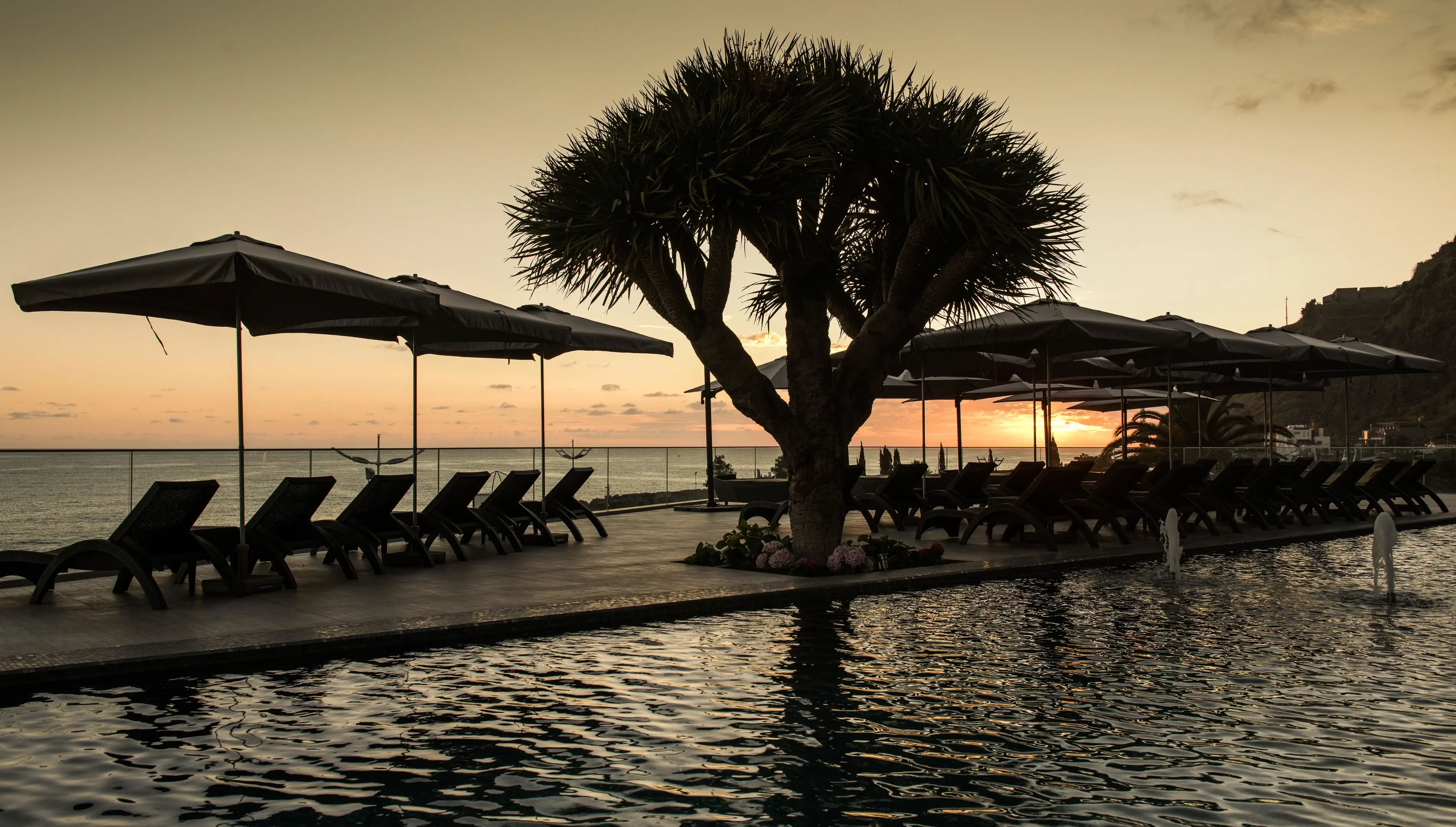Saccharum Resort by Savoy Signature - zdjęcie 47