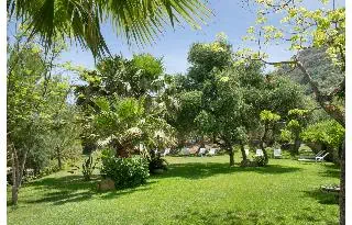 Alberi Del Paradiso - zdjęcie 6