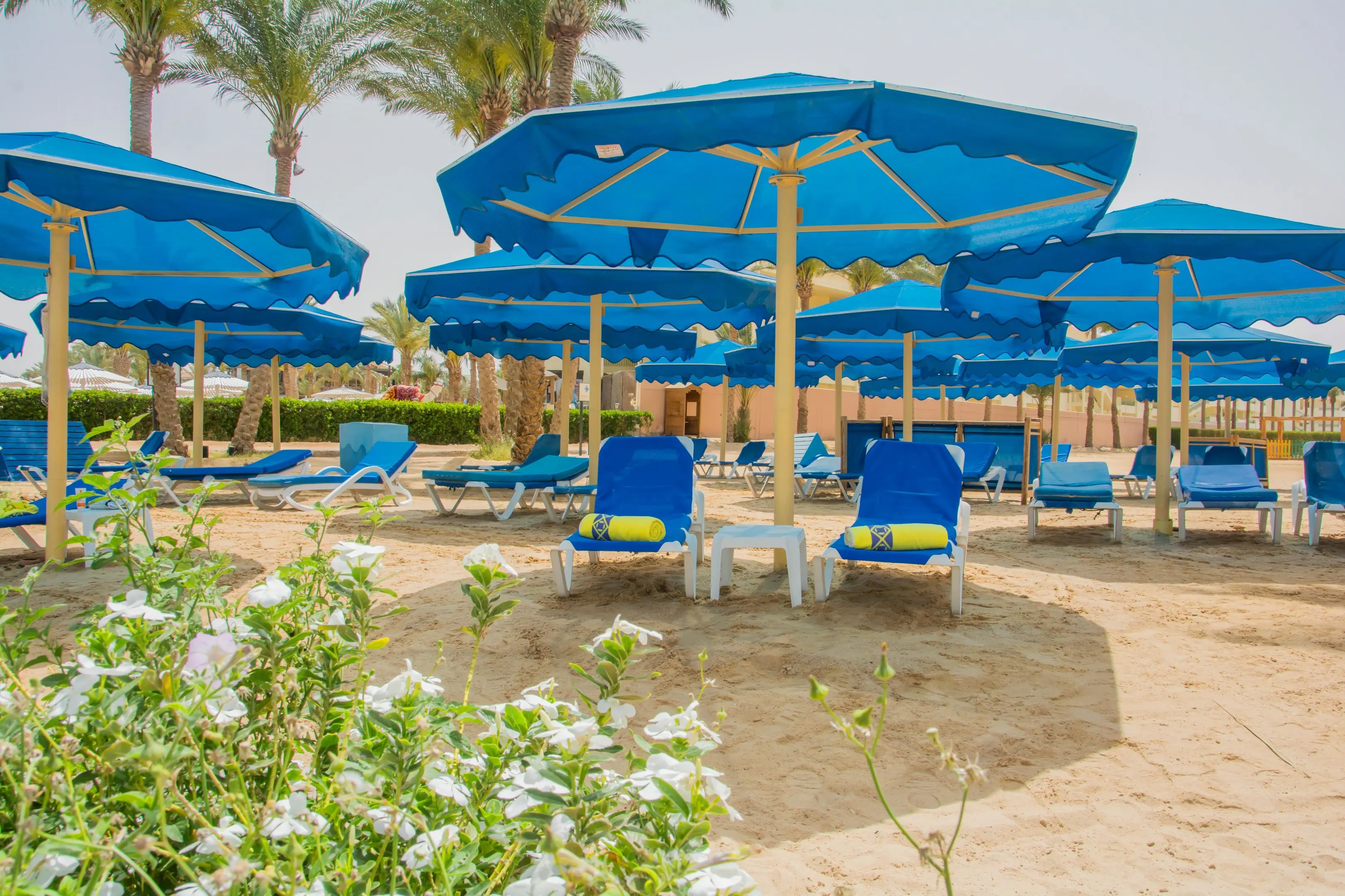 Continental (ex Movenpick Resort) - zdjęcie 36