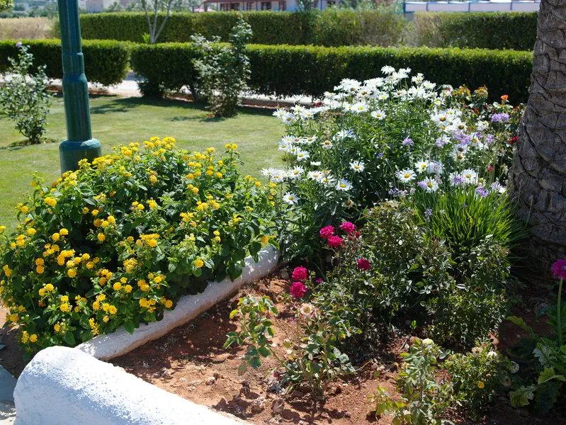 HOTEL ALTIS HOTEL
