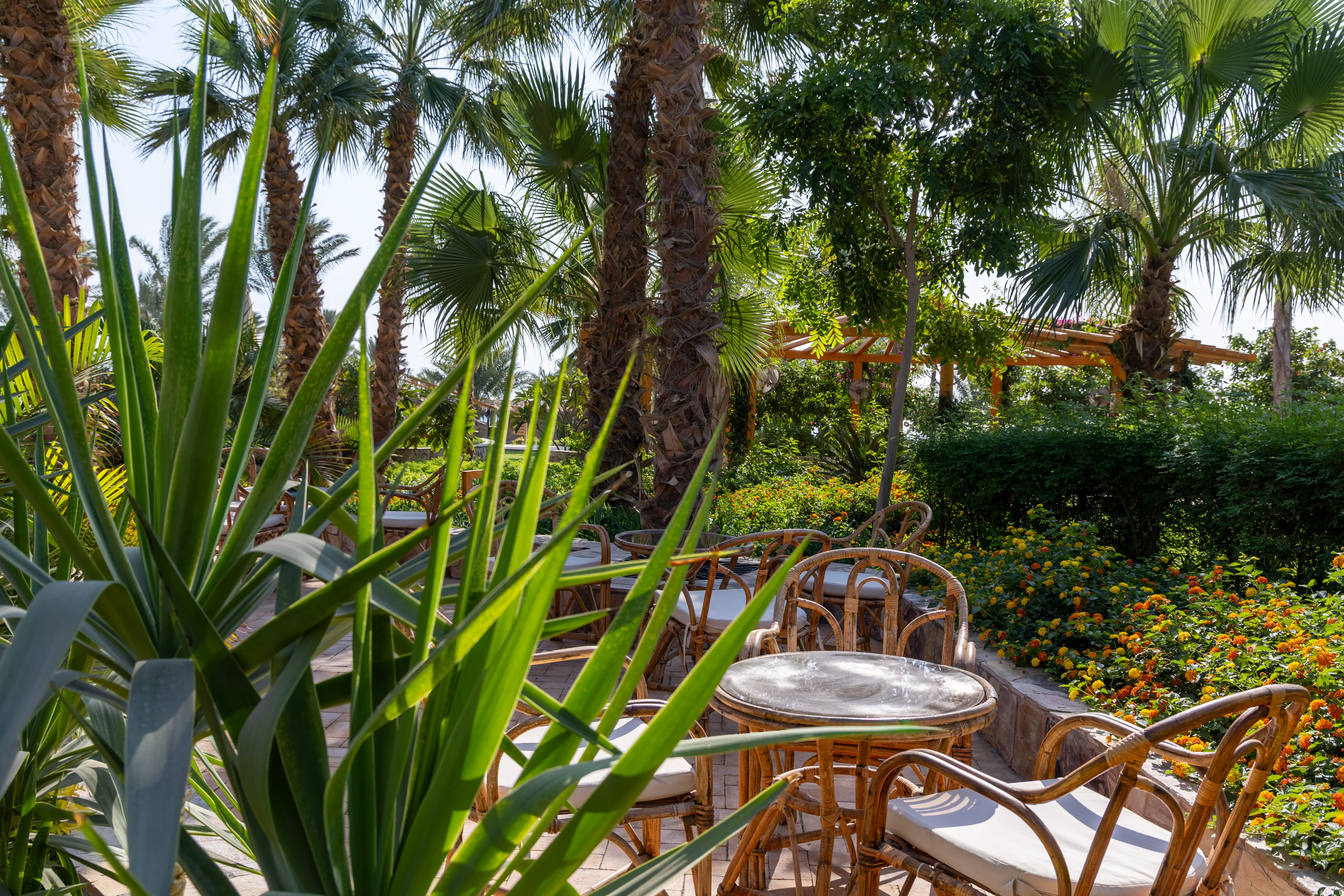 Fort Arabesque Resort Spa & Villas - zdjęcie 214