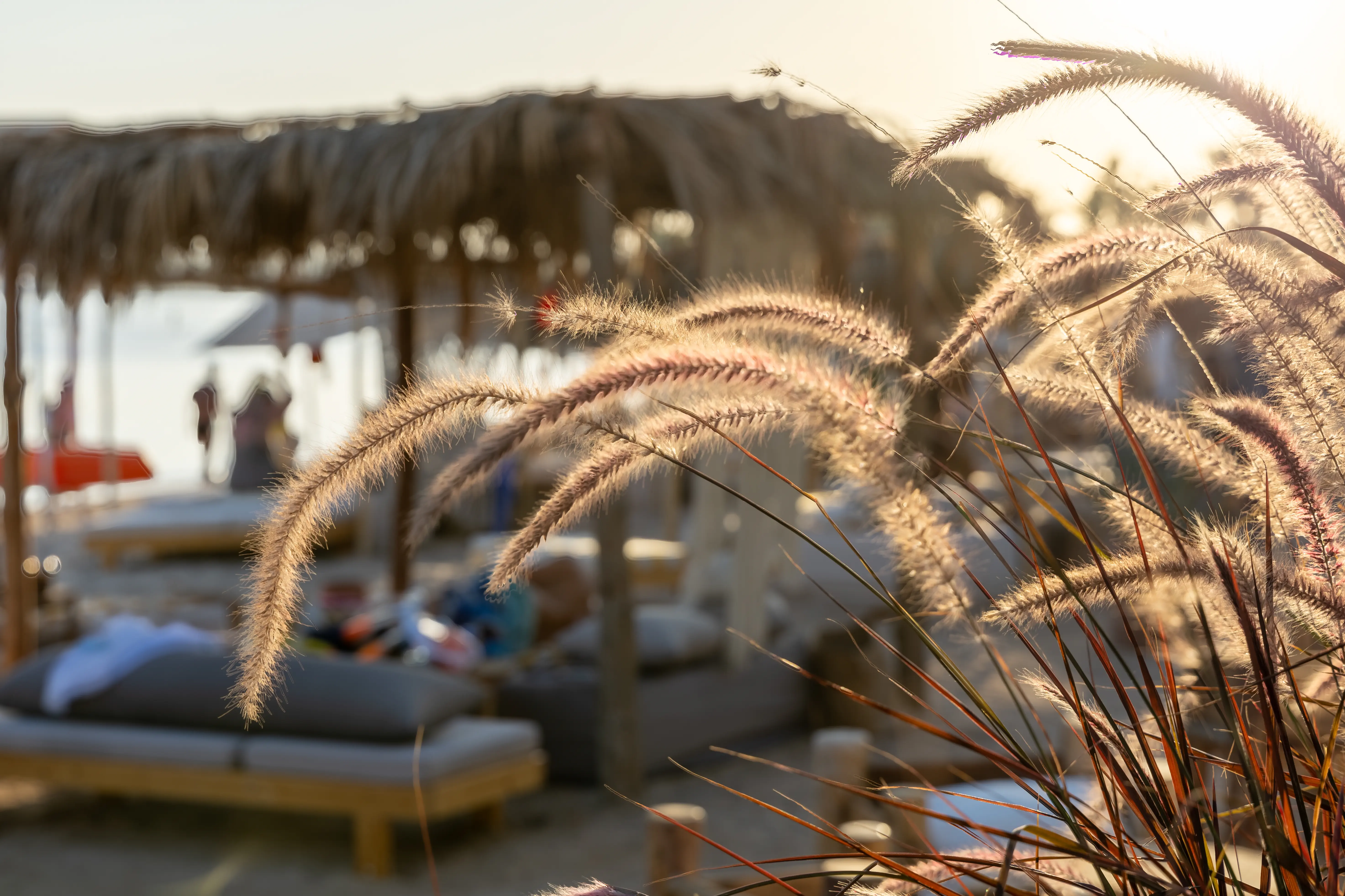Fort Arabesque Resort Spa & Villas - zdjęcie 292