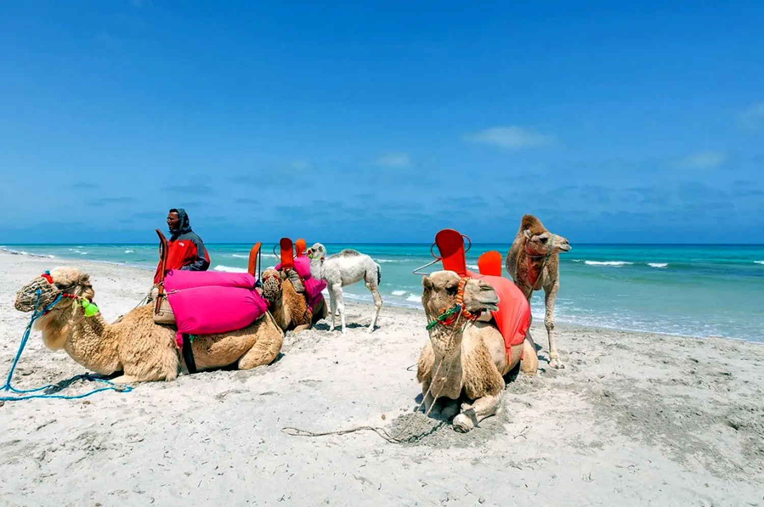 Hotel: Djerba Aqua Resort