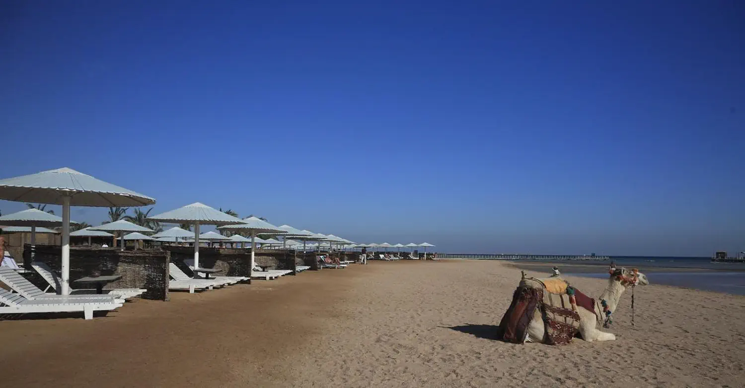 Hotel: Pharaoh Azur Resort