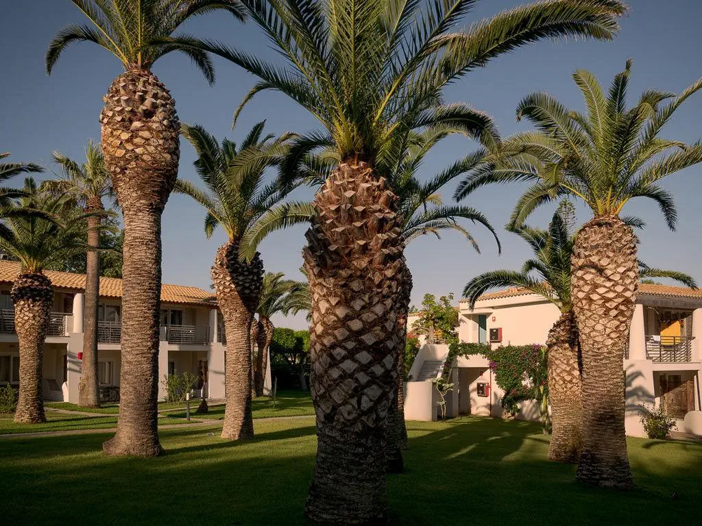 Club Baia del Sole Villaggio - zdjęcie 22