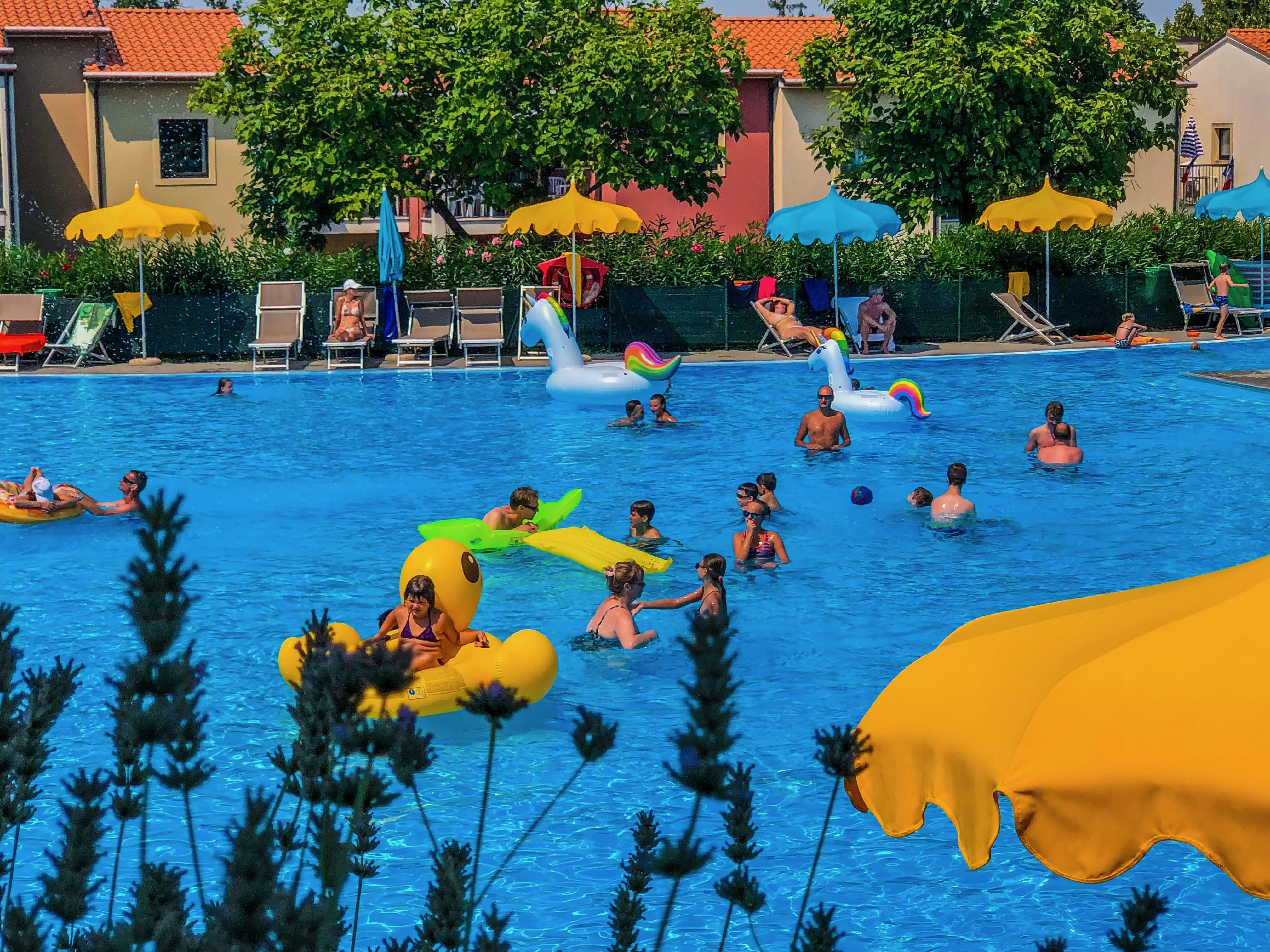 Belvedere Village - zdjęcie 15
