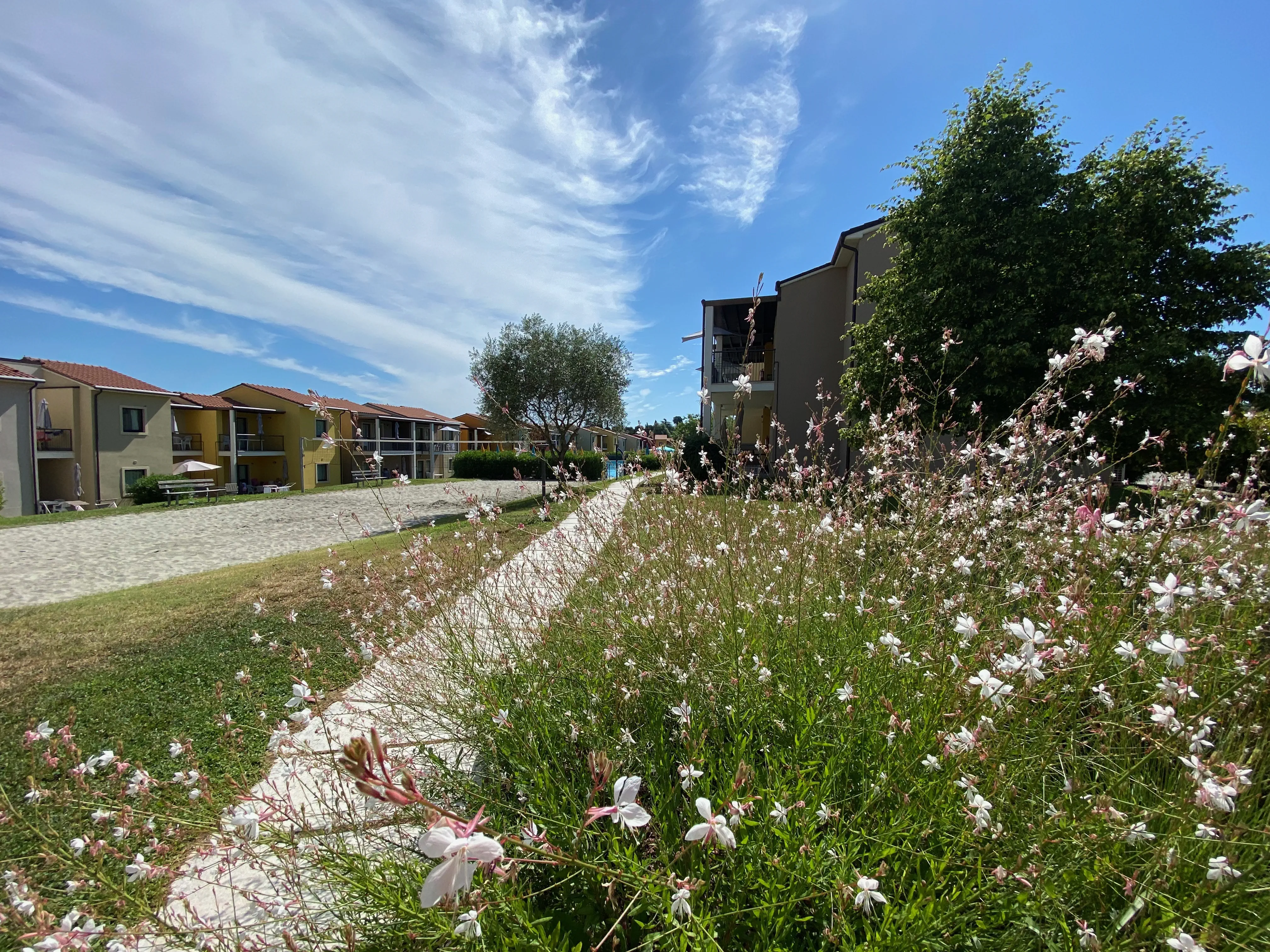 Belvedere Village - zdjęcie 12