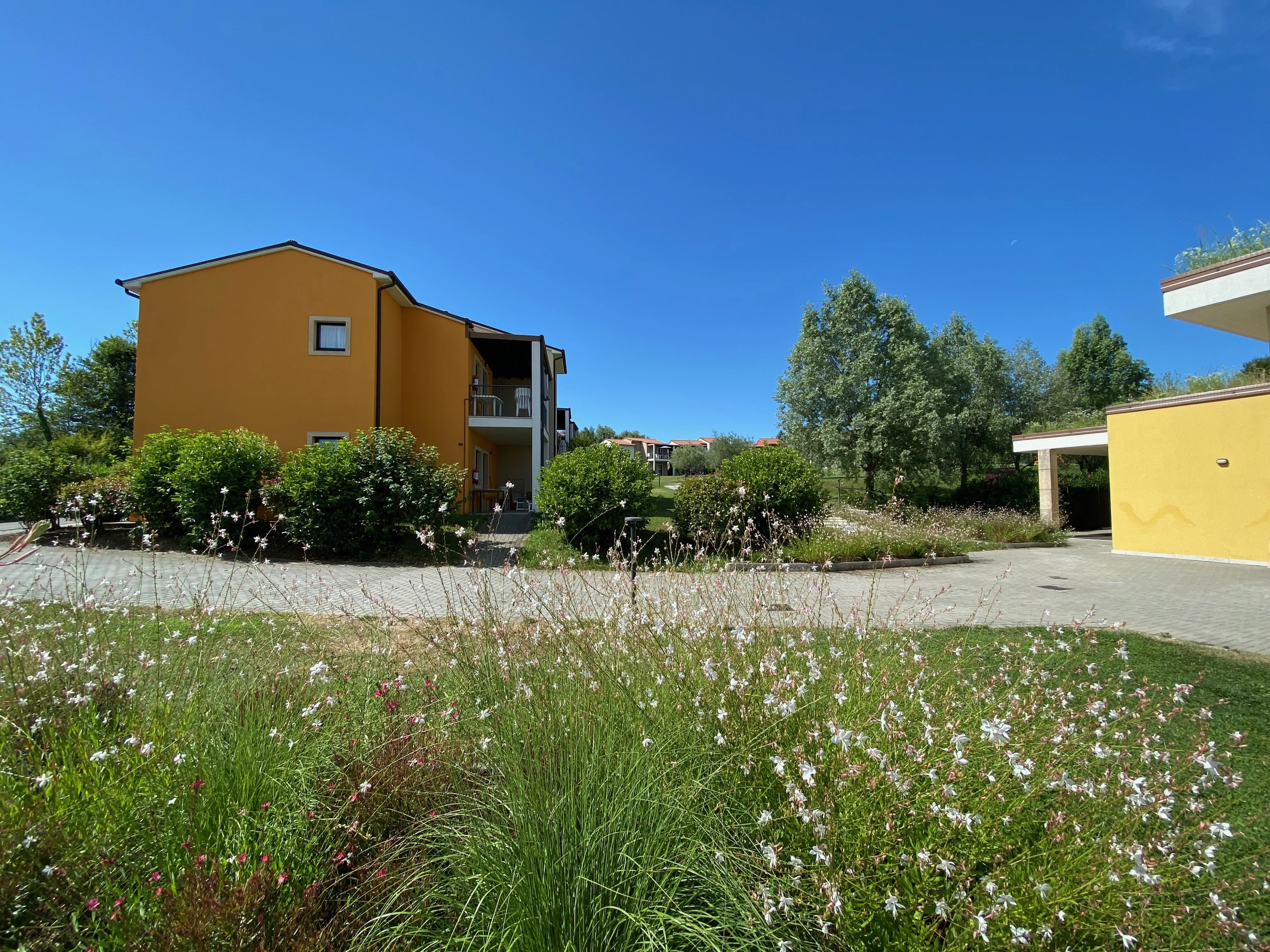 Belvedere Village - zdjęcie 13
