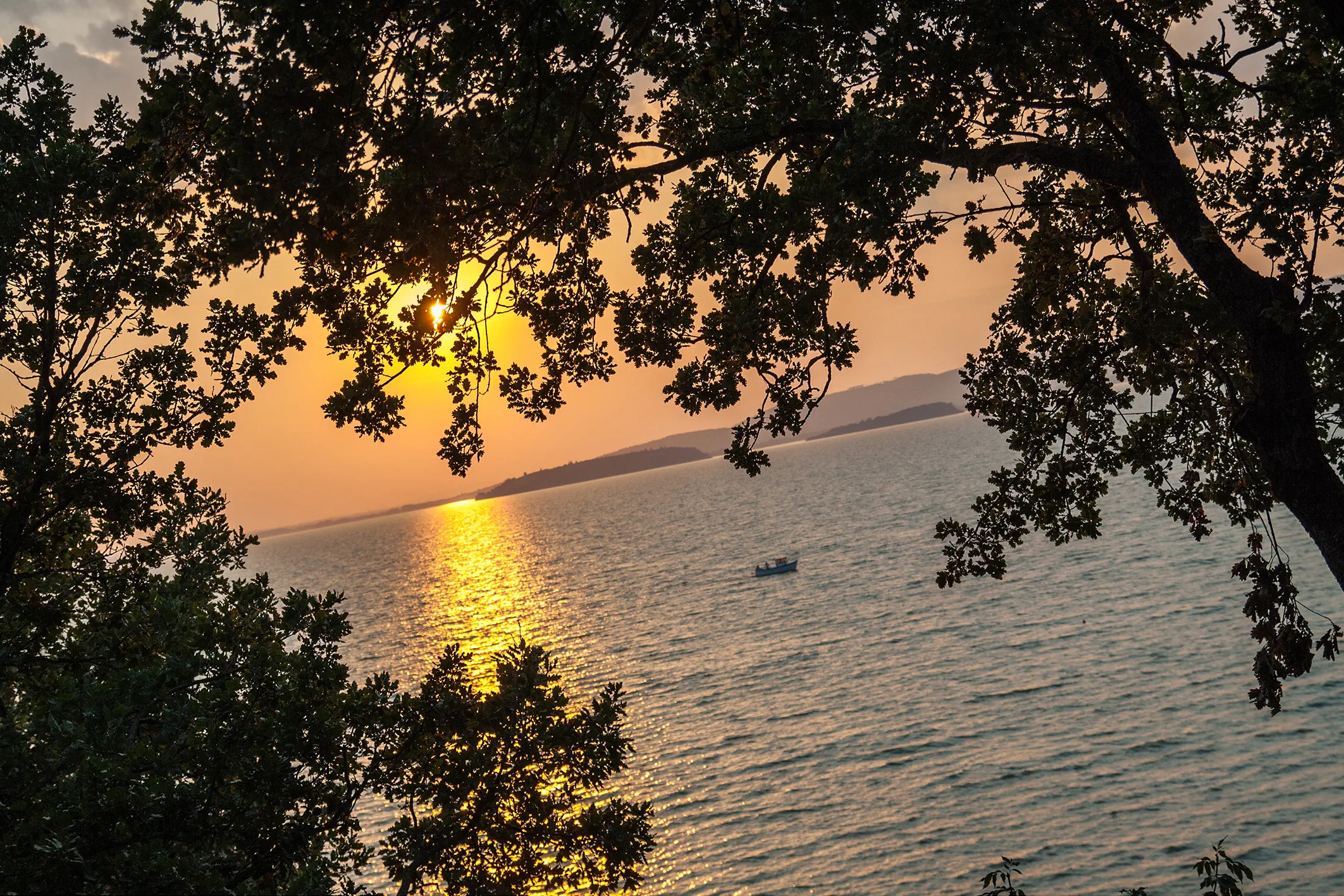 Bella Italia Camping - zdjęcie 25