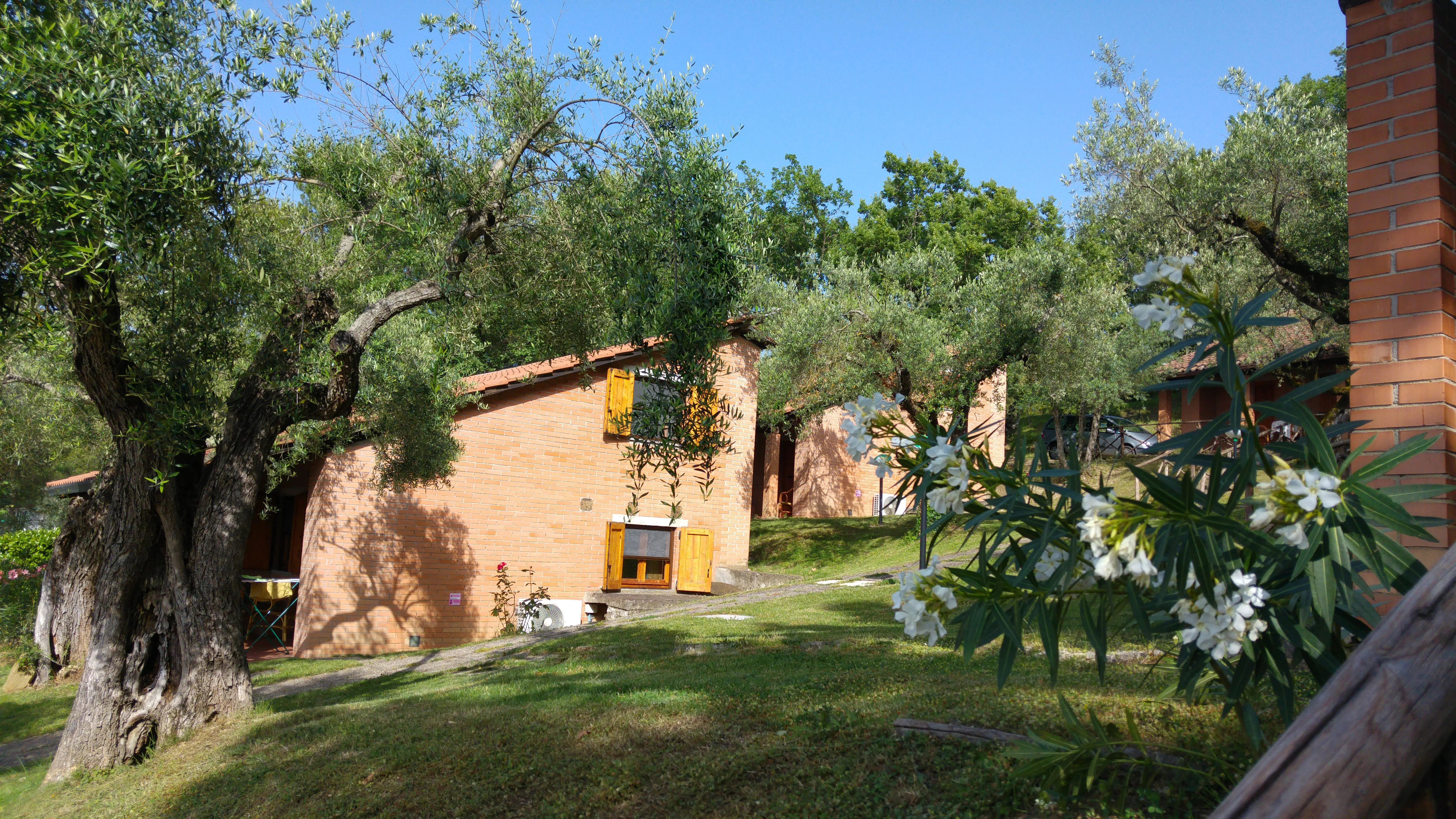 Bella Italia Camping - zdjęcie 17