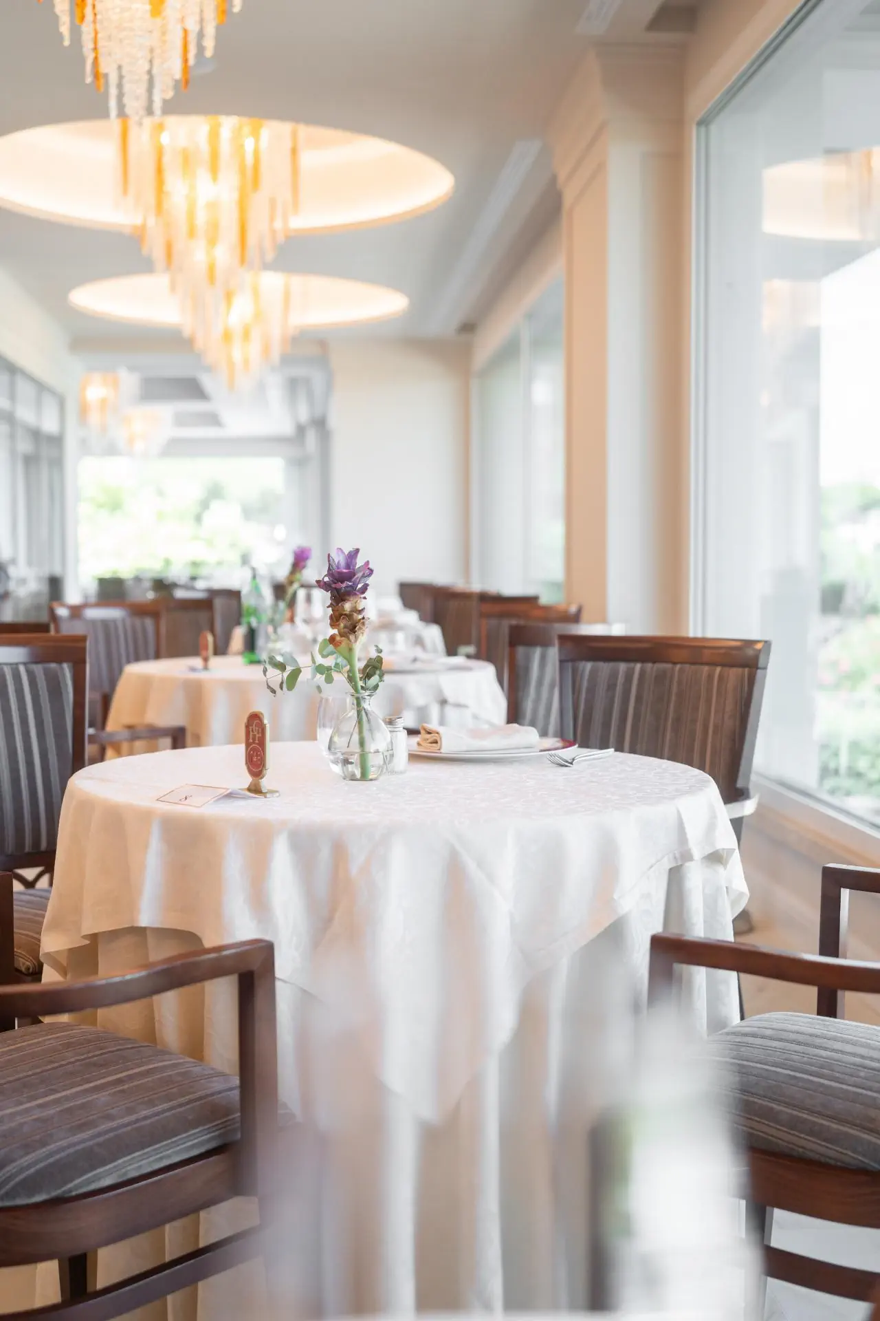 HOTEL Grand Hotel Gallia