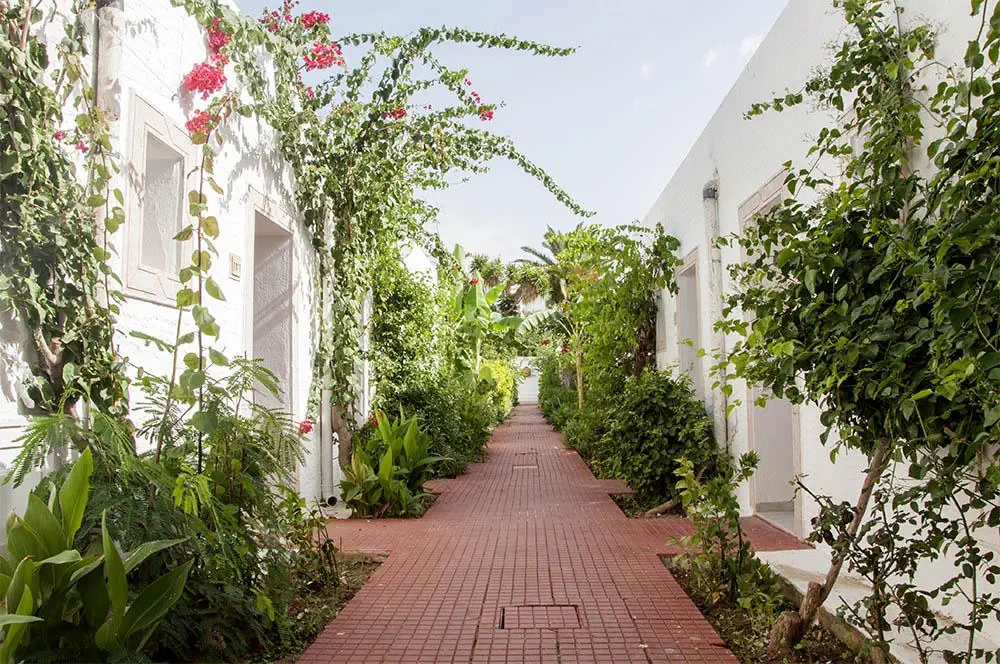 Le Hammamet Hotel & Spa (ex. Otium Park Le Hammamet) - zdjęcie 9