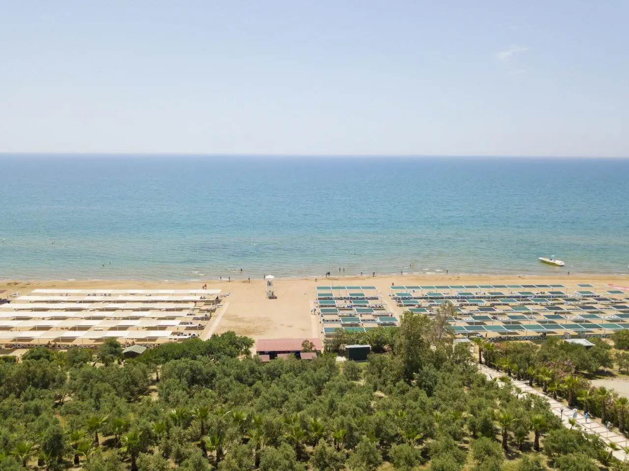 ALBA RESORT