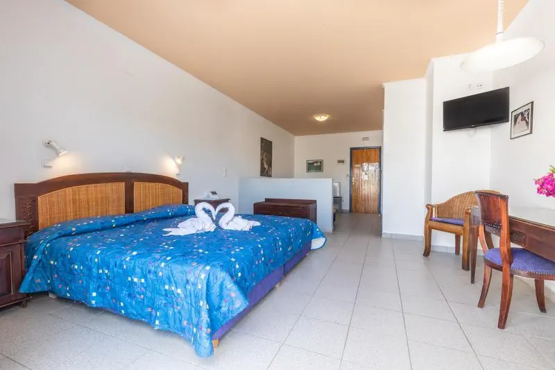 HOTEL DANAE