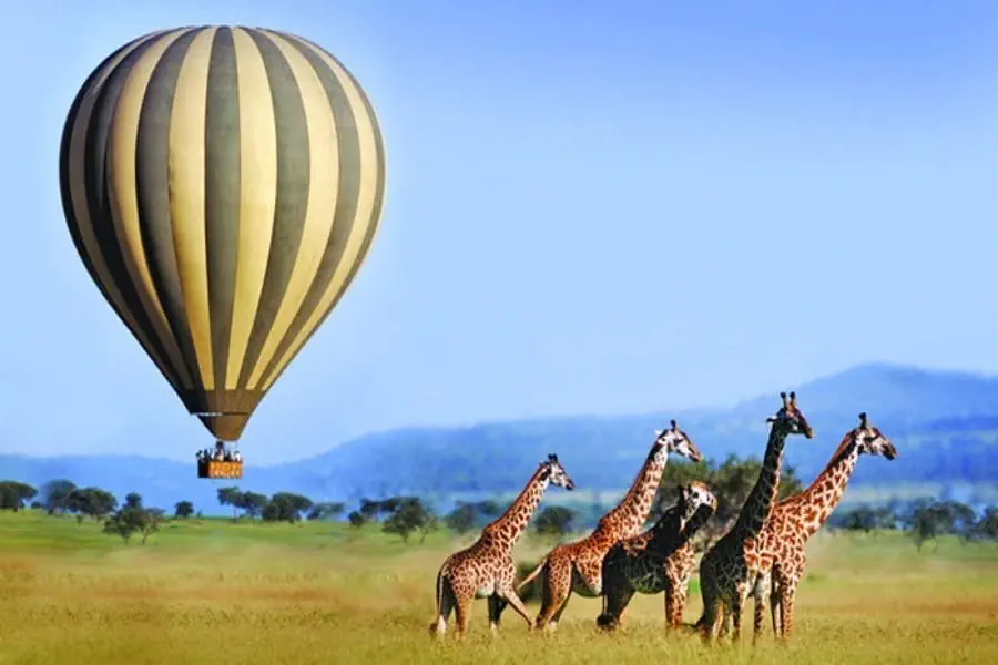 EXIMdiscovery: Afrykańska Odyseja – Mombasa, Mara, Naivasha