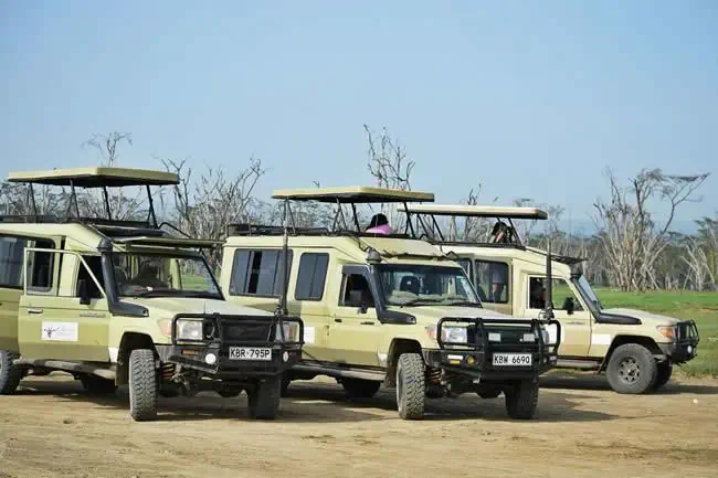 EXIMdiscovery: Afrykańska Odyseja – Mombasa, Mara, Naivasha