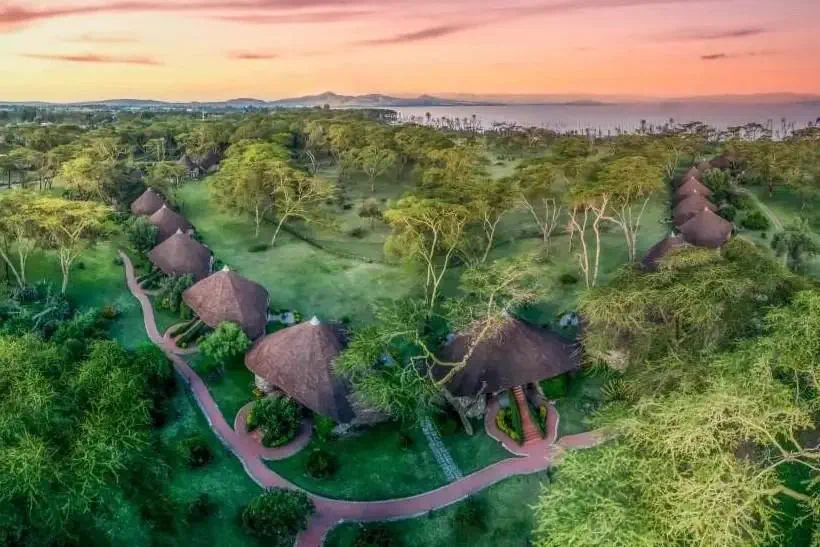 EXIMdiscovery: Afrykańska Odyseja – Mombasa, Mara, Naivasha