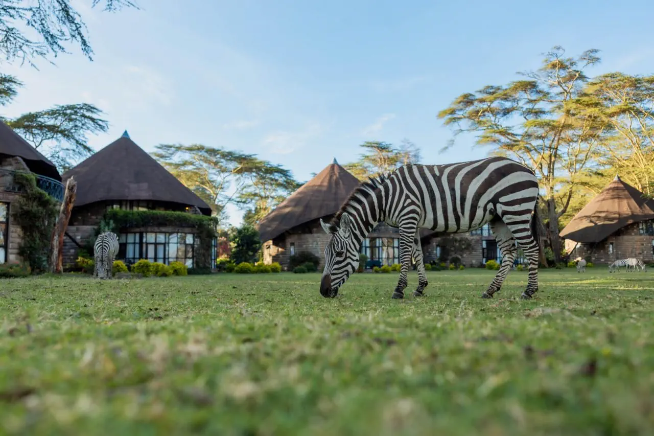 EXIMdiscovery: Afrykańska Odyseja – Mombasa, Mara, Naivasha