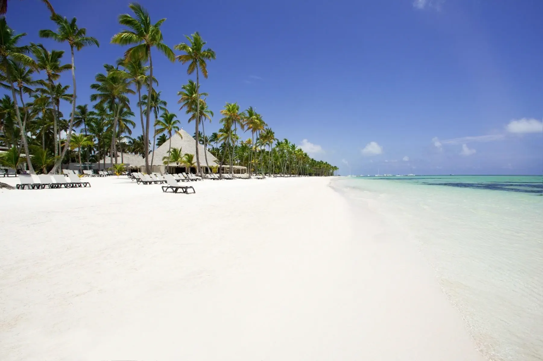 HOTEL Barcelo Bavaro Beach Adults Only