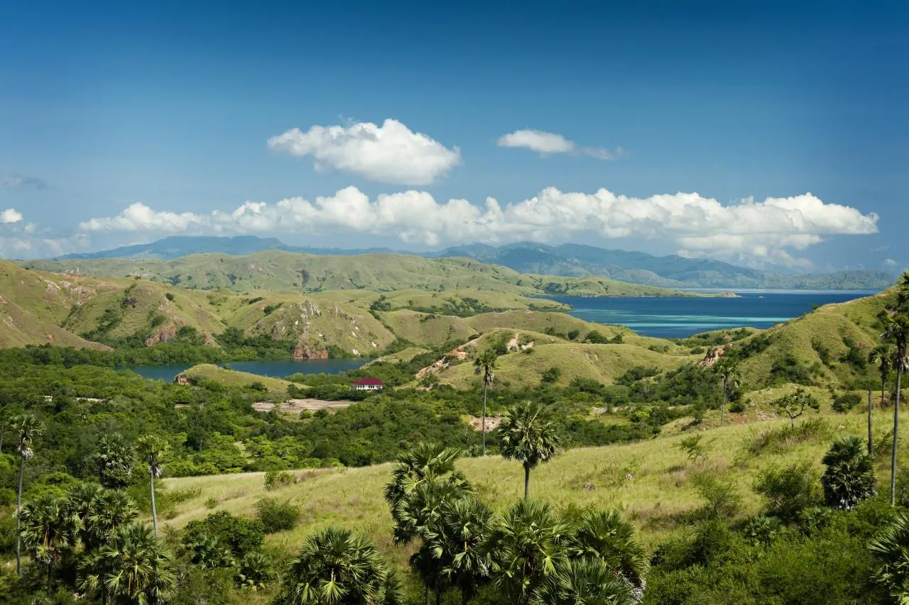 EXIMdiscovery – Bali i Flores: Smoki, plaże i tropikalna przygoda