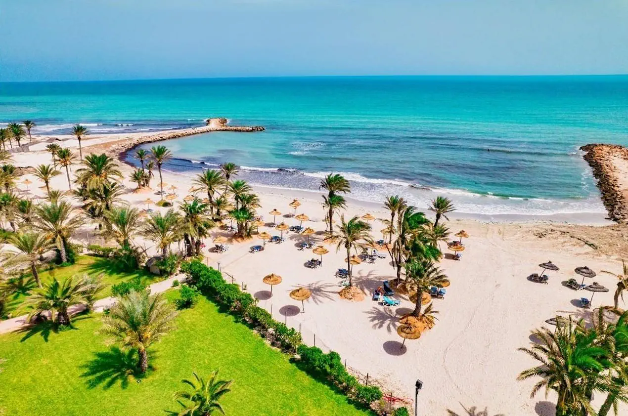 Palm Azur