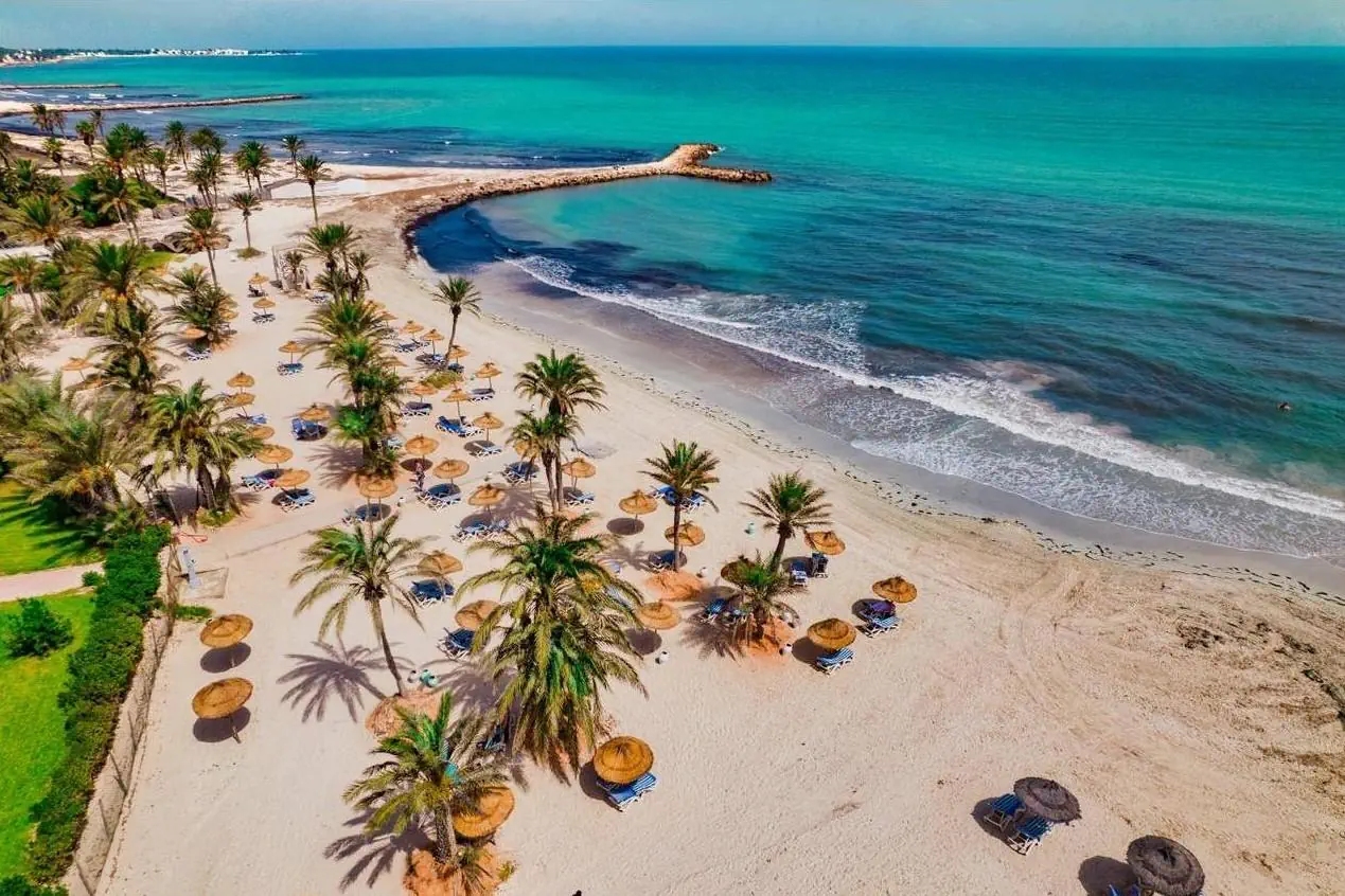 Palm Azur