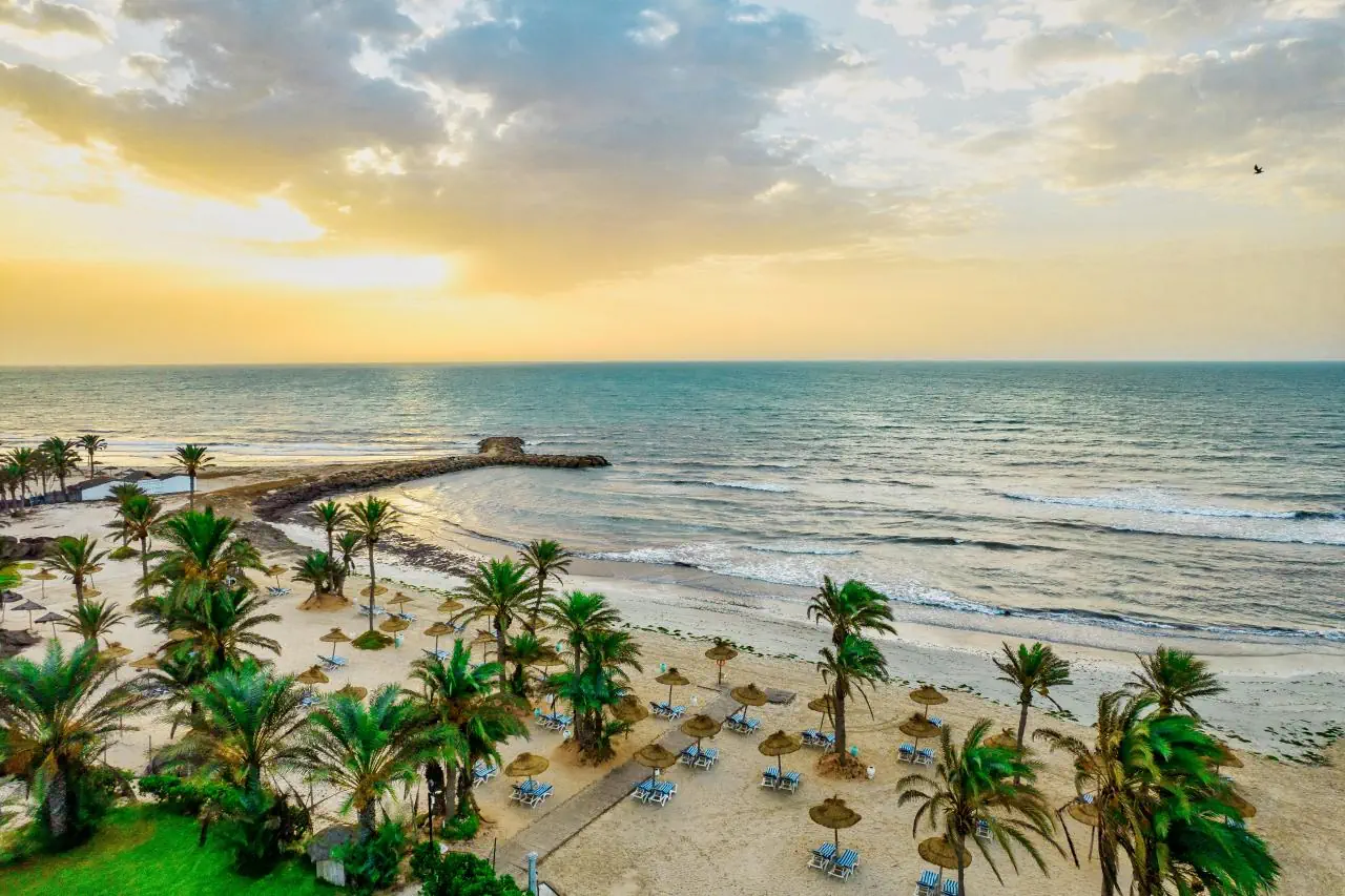 Palm Azur