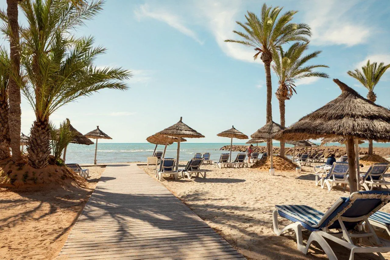 Palm Azur