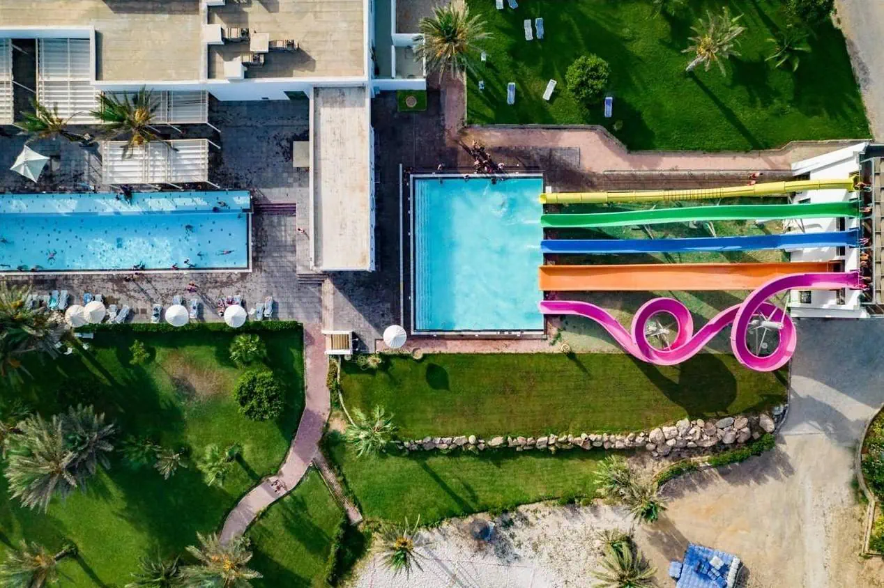 Palm Azur