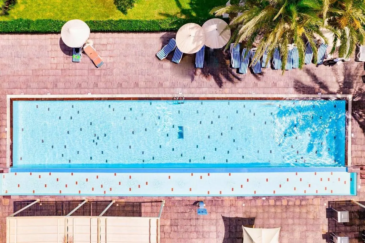 Palm Azur
