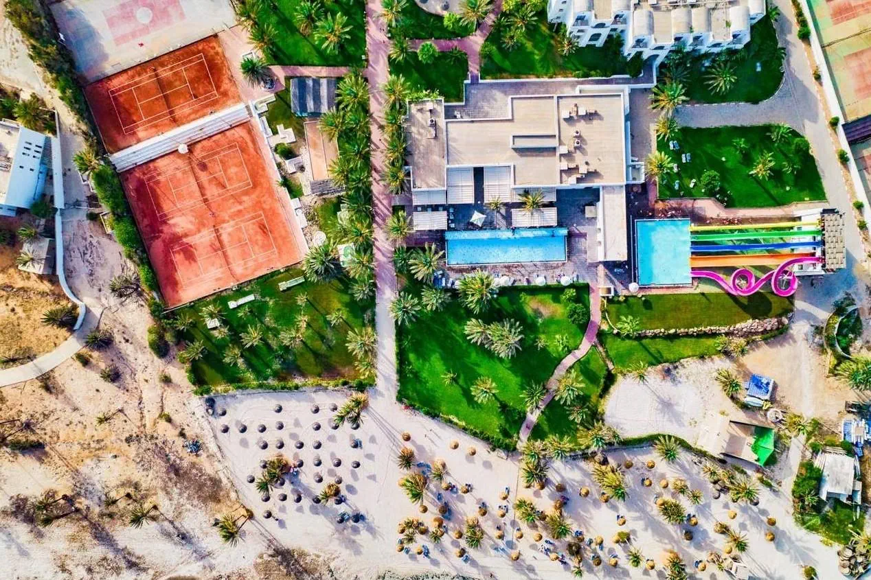 Palm Azur