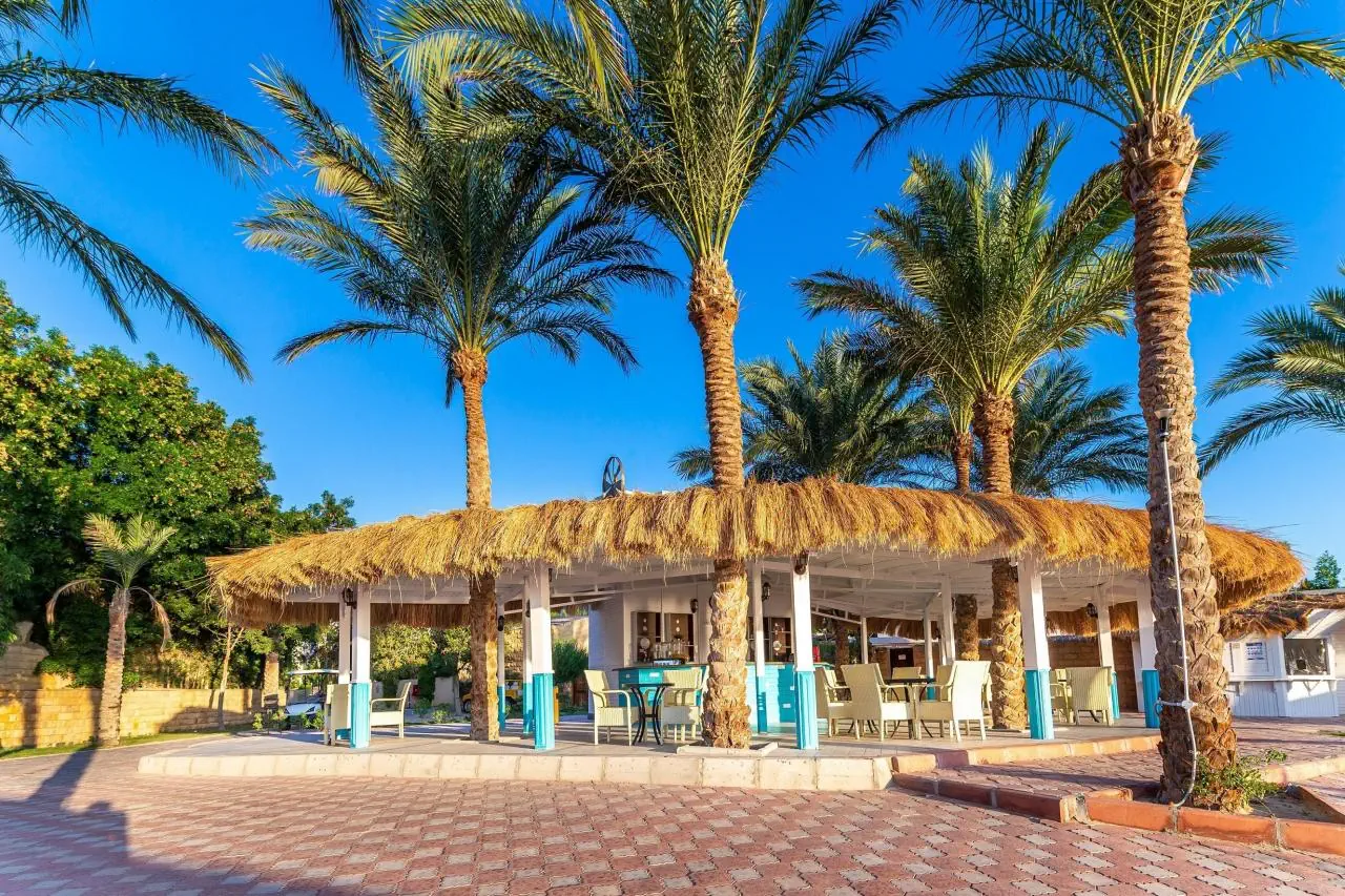 Отель: Caribbean World Soma Bay