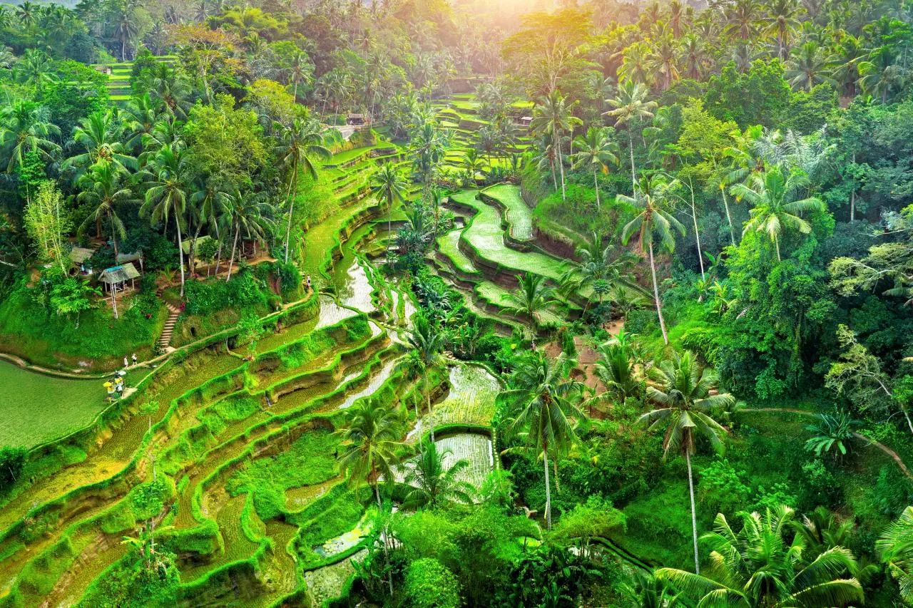 EXIMdiscovery – Bali: Duchy wyspy, świątynie i tropikalny relaks (Standard)