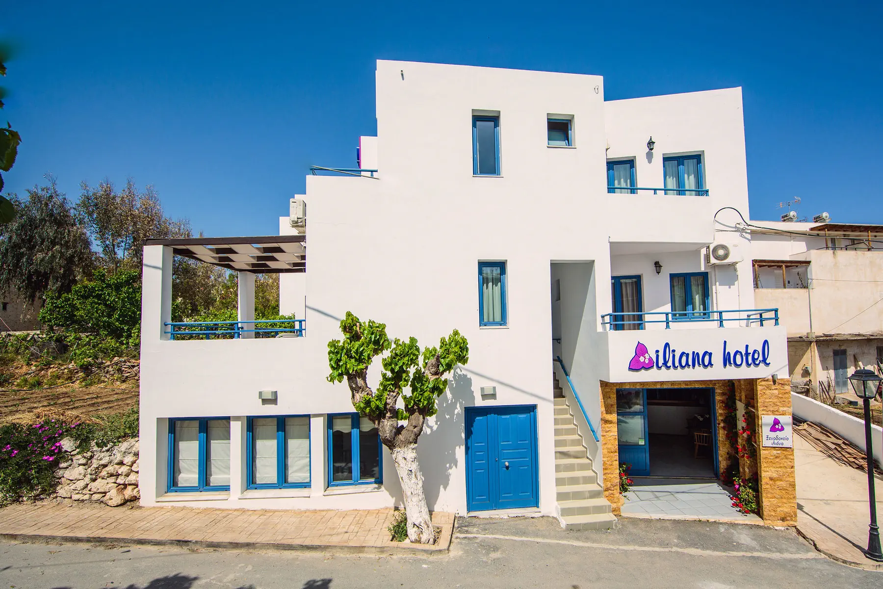 Iliana Apartments & Hotel - zdjęcie 2