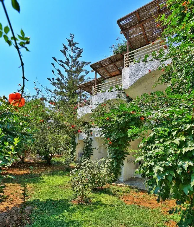 Apollonia Beach (Ammoudara) - zdjęcie 14