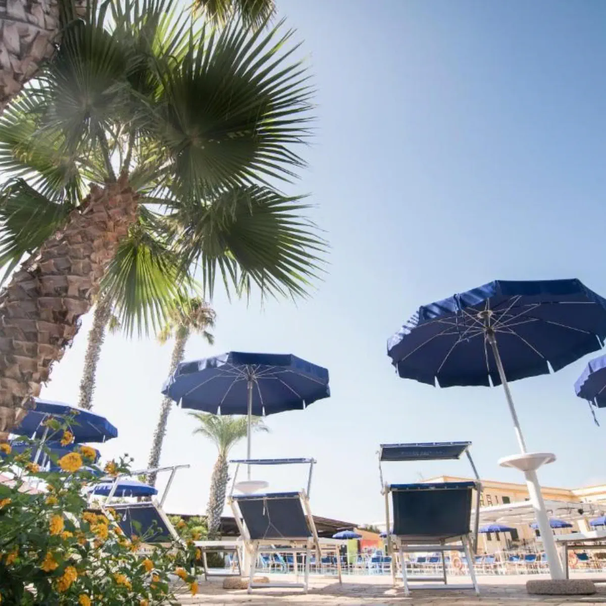 CDS Hotels Delfino Beach