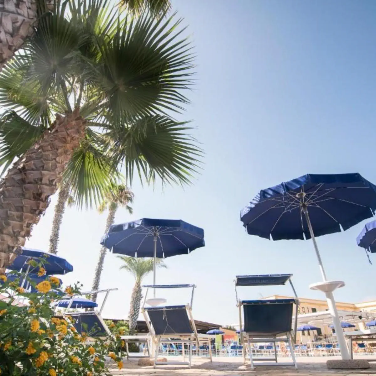 HOTEL CDS Hotels Delfino Beach