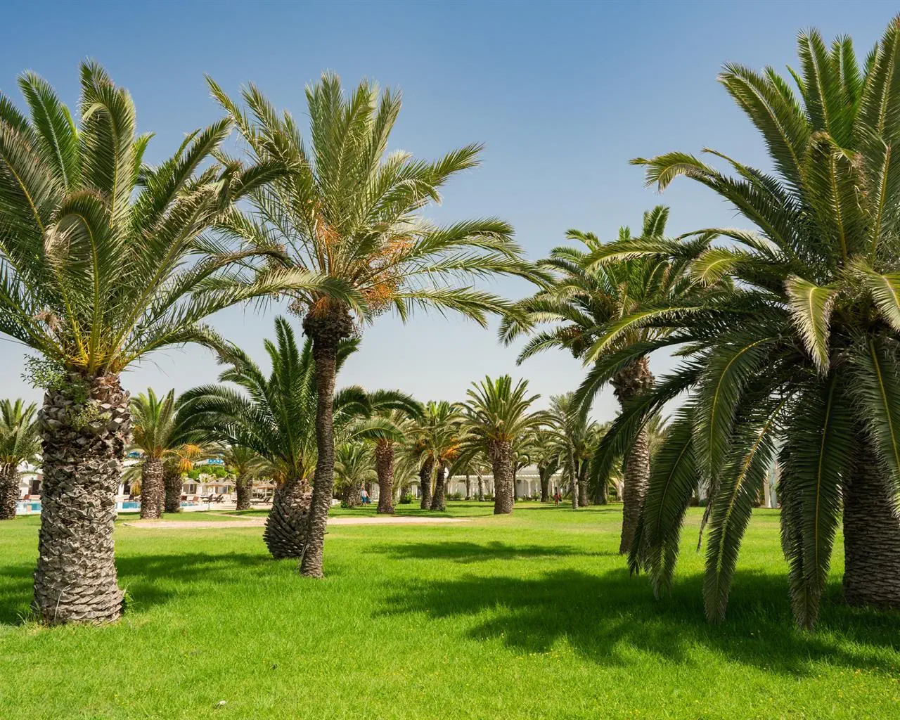 The Mirage Resort & Spa - zdjęcie 22