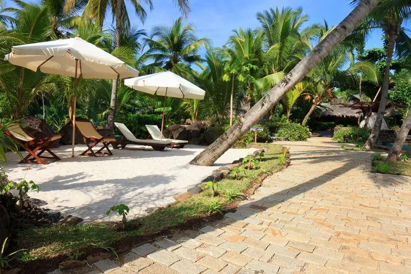 Ravintsara Wellness - zdjęcie 7