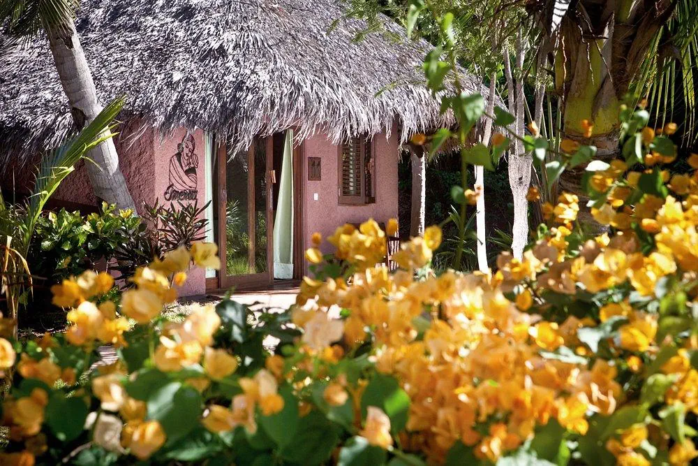 Ravintsara Wellness - zdjęcie 22