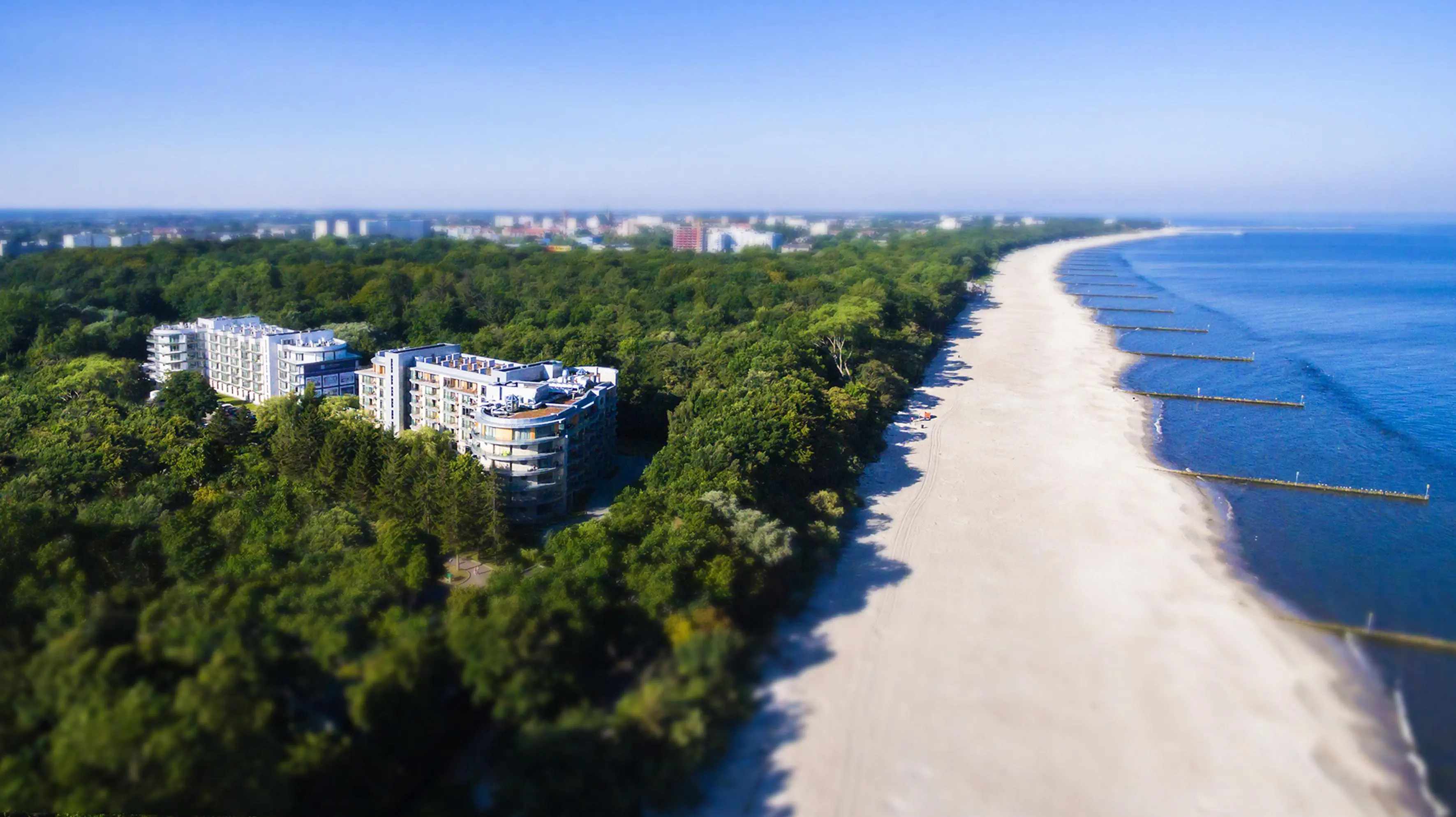 Diune Resort - zdjęcie 4