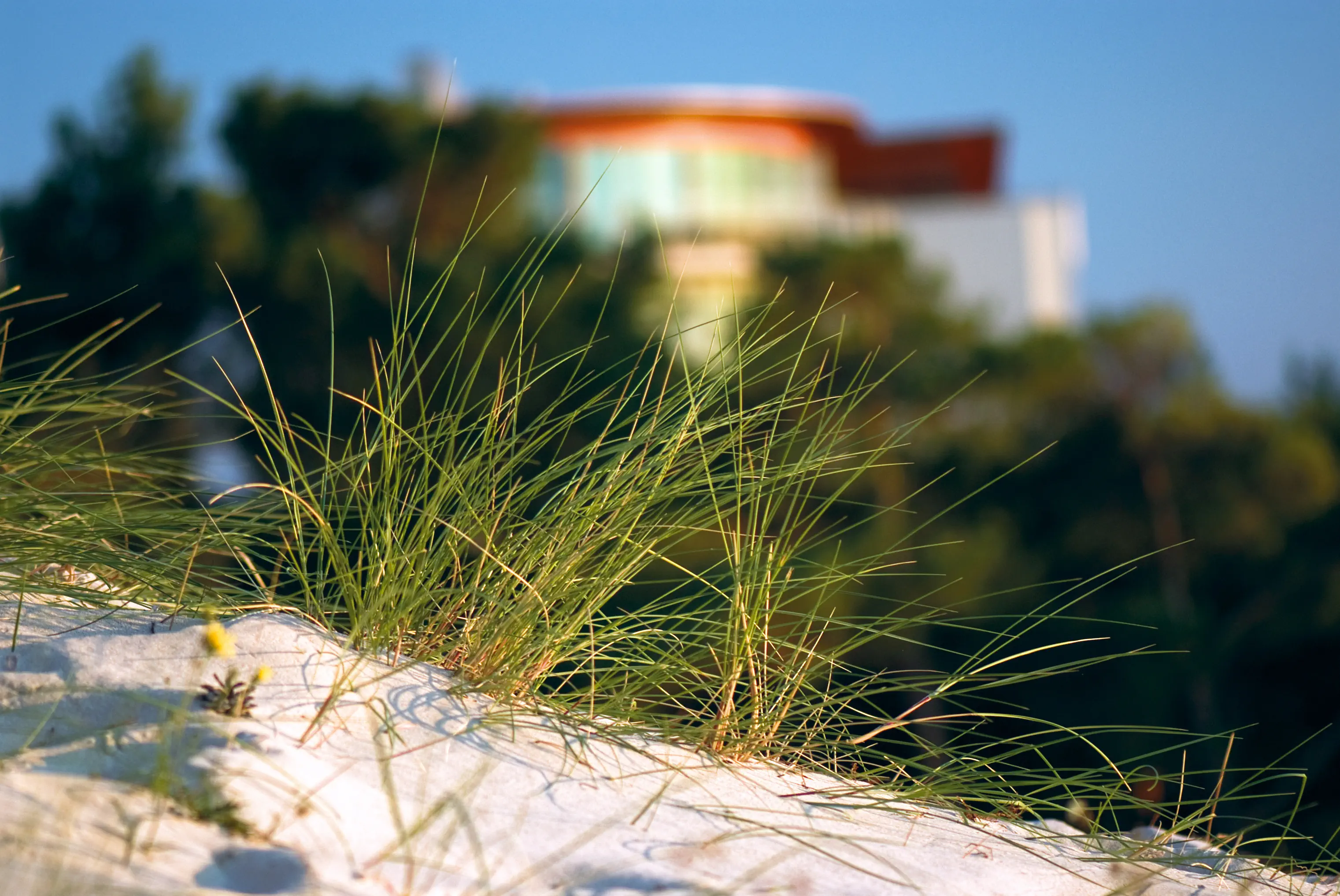 Havet Resort - zdjęcie 33