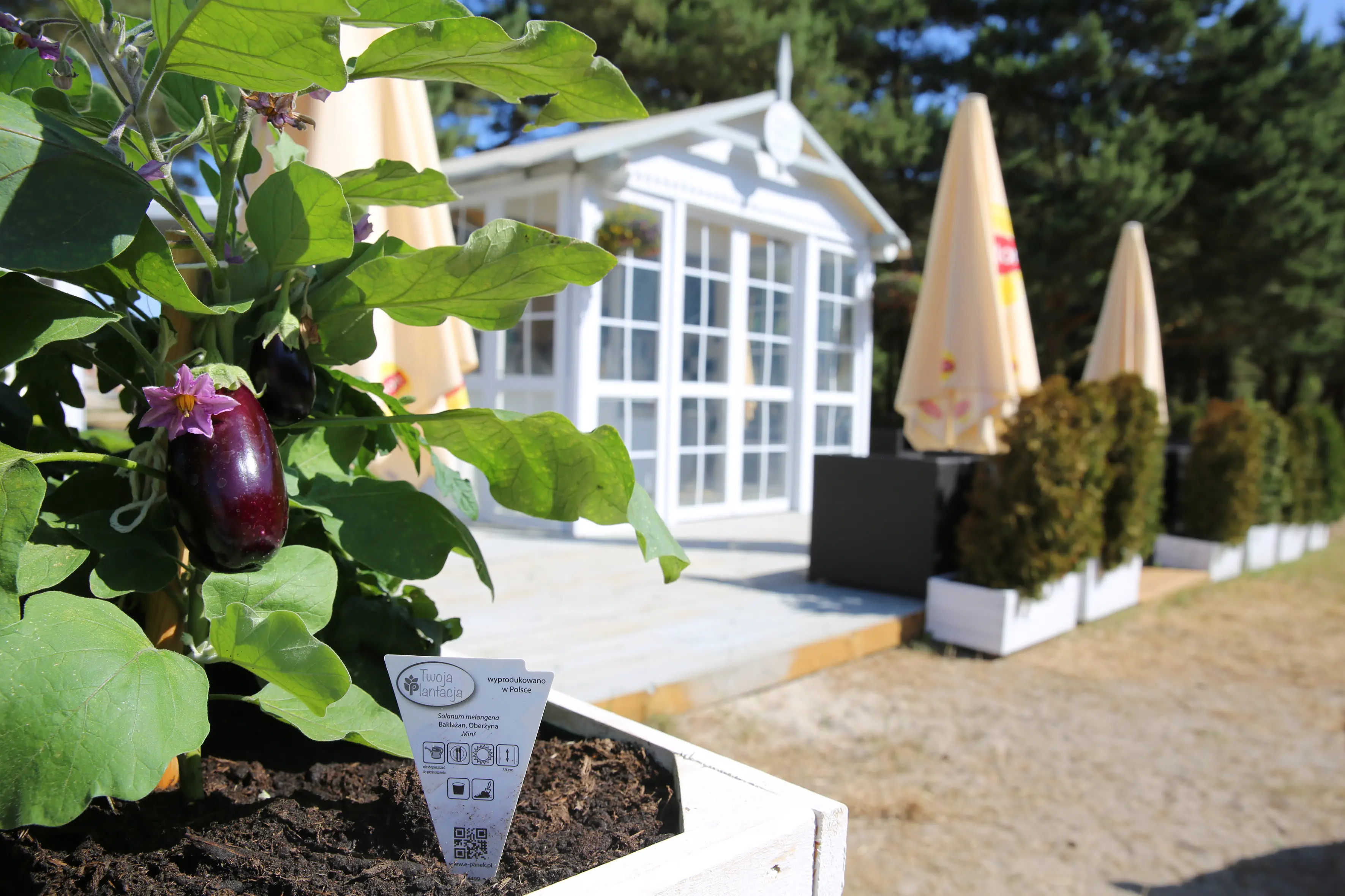 Havet Resort - zdjęcie 5